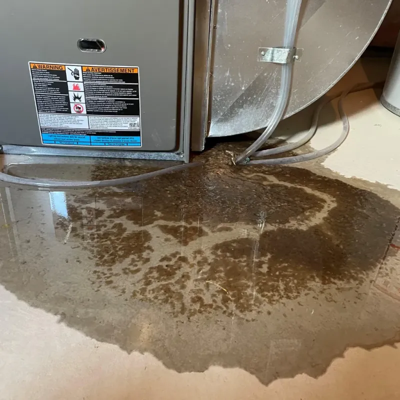 Appliance Leak Cleanup in Point Baker, FL